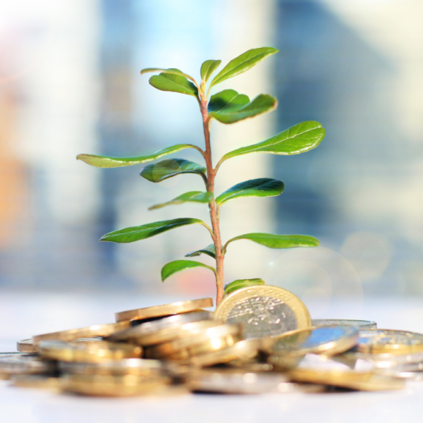 investimento-protetto-600x600